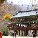 금강교옆 공원 이미지