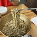 일산 백병원 근처 대화역 들기름 막국수 맛집 베다니맷돌막국수 후기