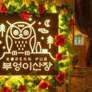 첨단전집 이미지