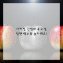 안녕 우리집 이미지