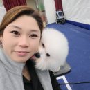 에스티 비숑프리제 이미지