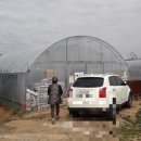 모항농장 이미지