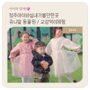 쥬니멀 전시장 | 교감과먹이체험이 가능한 , 청주 실내아이랑가볼만한곳 추천 쥬니멀동물원