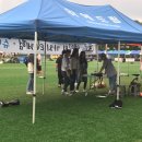 다성유통개발교현 | 페스티발 제주국제대학교 축제현장에 함께 하였습니다! 여행 떠나듯 다녀온 제주도 대학 축제 생생후기