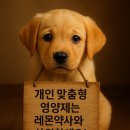 참약사레몬약국 이미지