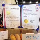 요거트월드포항문덕점 | 문덕 베이커리 카페 베리에, 빵 나오는 시간 체크하고 가세요