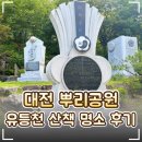해맞이 관광안내소 | 🌳 대전 '뿌리공원' 후기｜유등천 산책길이 아름다운 대전 무료 가볼만한곳