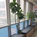 현아네집밥 이미지