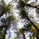 덕유산자연휴양림 이미지