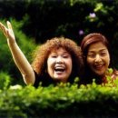 이금희