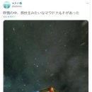 현재 일본에서 핫한 1년 버티고 1억엔 받기 챌린지.JPG 이미지