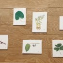 소녀방앗간 마로니에점 이미지