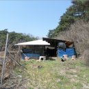 괴산군감물면이담보건진료소 이미지