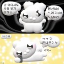 물들어간다는 것은 | 일본 도쿄 워홀 집 구하기