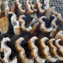 운길산장어 이미지