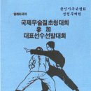 북경아시안게임(1990년9월), 국제무술절대회참가국가대표선수선발전(1990년6월) 이미지