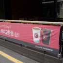 파스쿠찌대전 이미지