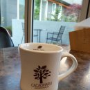 카카오하루(병영점) 이미지