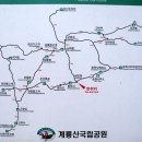 ㅇ4월 10일(일요일) 7차 정기산행 계룡산 동학사 벚꽃 산행 선착순 44명 모집! 이미지