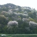 시조마을 이미지