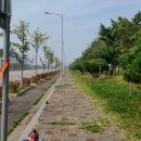 플라밍고C.C 이미지