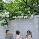 다솔어린이집 이미지