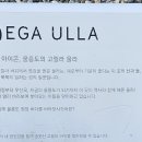 울릉KOSMOS 이미지