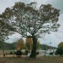 한곤메마을 이미지