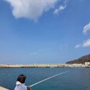 원투 | 포항 낚시 바로 옆 주차도 가능한 원투낚시 후기