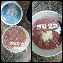 펫 가디언 이미지