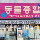 필종합동물병원 이미지