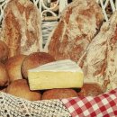 학사 행정사 사무소 이미지