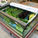 옥돌정쌈밥 이미지