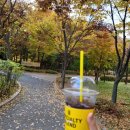 컴포즈 용인 백현마을점 네이버블로그