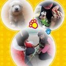 베르 이미지