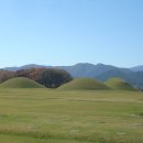 산내들부동산중개(주) 이미지
