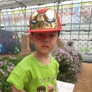 민재농장 이미지