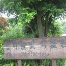 대전 근교로 여행을 4... (보은 하늘빛 수목원으로) 이미지