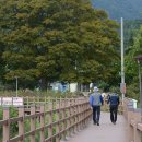 금평농장 이미지