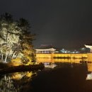 도토리 게임월드 | 24년 7월 경주 2박3일 여행코스 (캘리포니아비치, 경주월드, 황리단길, 장군암소갈비, 천마총, 동궁과...