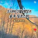 스테이 훔 이미지