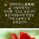 인향 이미지