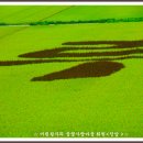 청주스크랩 이미지