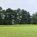 골프촌 | 동탄 화성상록 골프클럽 라운드 후기 (2023. 07. 20.) 화성상록CC 화성상록 GC