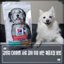 대한사료대리점 | 강아지 다이어트 사료 급여 이유 몸무게 비만 체중조절 방법 스피츠사료 추천