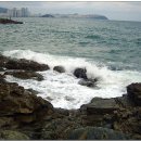 (주)푸른바다 이미지
