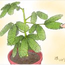 은혜 작은도서관 이미지