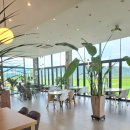 풍정 | 전남 나주 카페 풍정 내돈내산 후기｜블루베리와 화덕피자, 예쁜 풍경까지