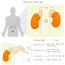 부자처럼 장수하기 9가지 조건 이미지