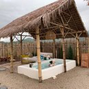 스테이 오후열시 이미지